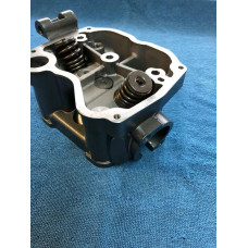 hlava 250 H2O  kompletni pro vodou chlazeny motor