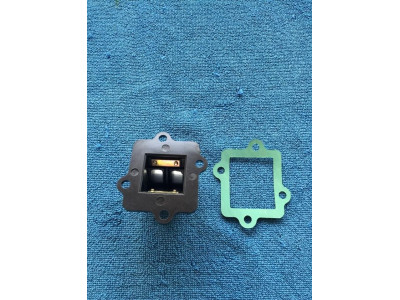 klapky sani skutr 2t