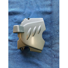 kryt pastorek bashan